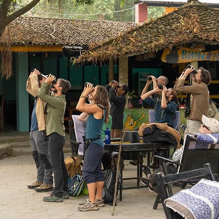 Chitwan Gaida Lodge - Animal Lovers & Birdwatchers Paradise Sauraha Exteriér fotografie
