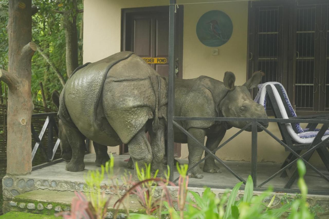 Chitwan Gaida Lodge - Animal Lovers & Birdwatchers Paradise Sauraha Exteriér fotografie