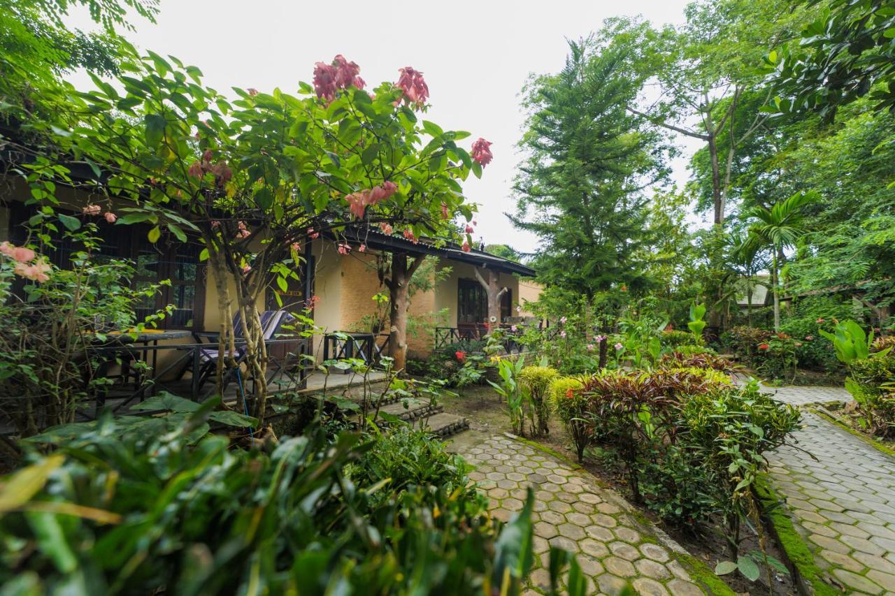 Chitwan Gaida Lodge - Animal Lovers & Birdwatchers Paradise Sauraha Exteriér fotografie