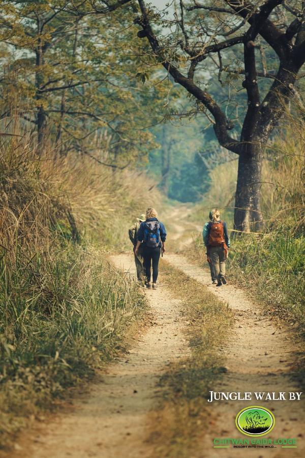 Chitwan Gaida Lodge - Animal Lovers & Birdwatchers Paradise Sauraha Exteriér fotografie