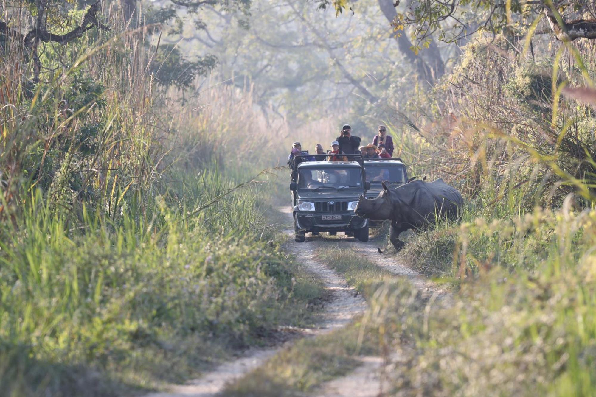 Chitwan Gaida Lodge - Animal Lovers & Birdwatchers Paradise Sauraha Exteriér fotografie