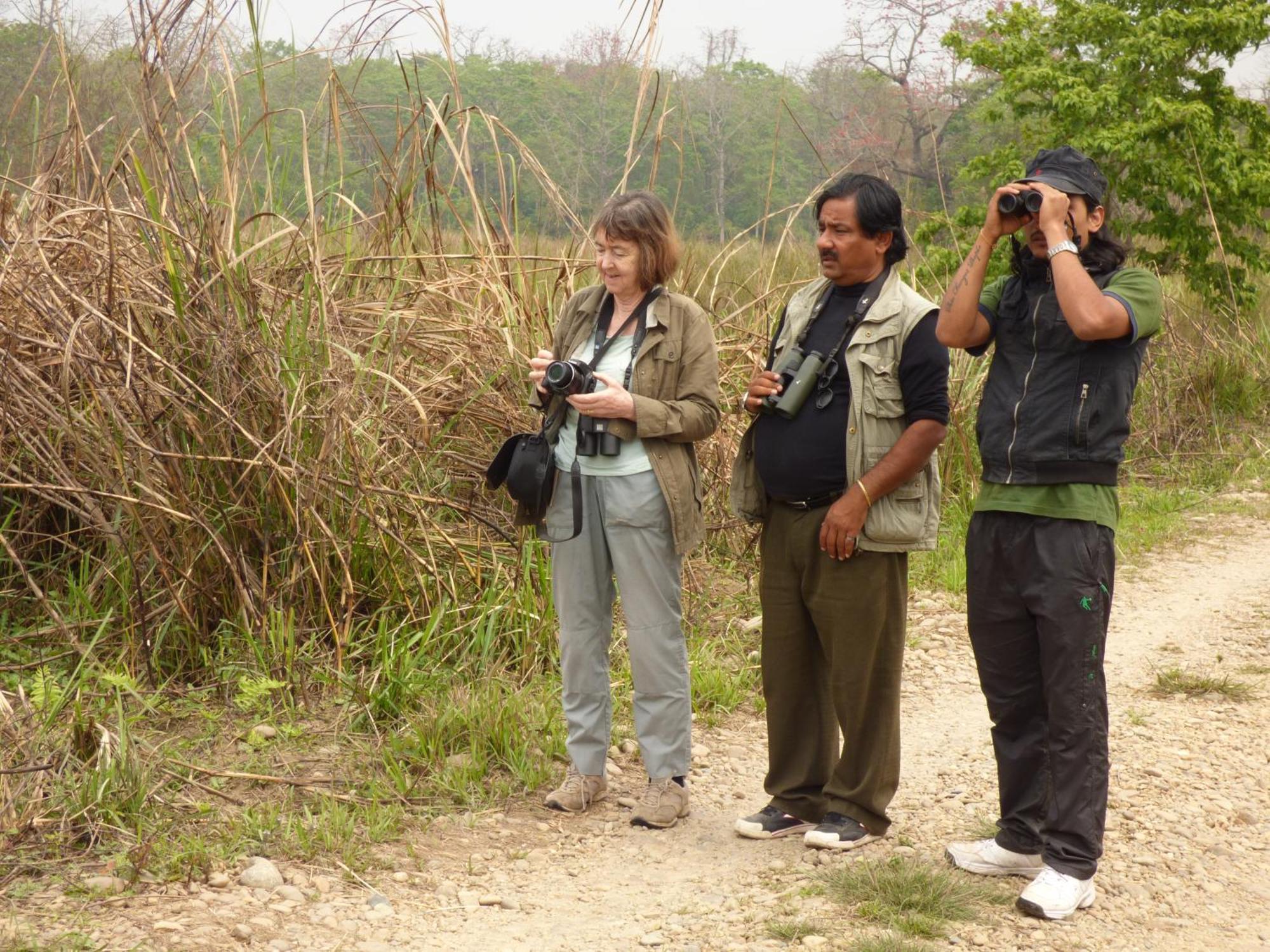 Chitwan Gaida Lodge - Animal Lovers & Birdwatchers Paradise Sauraha Exteriér fotografie